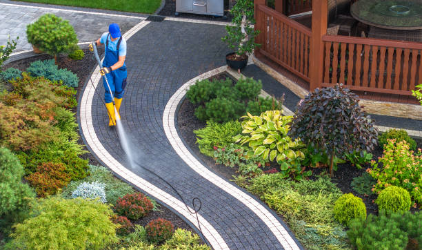 Best Pressure Washing Near Me  in Acton, CA